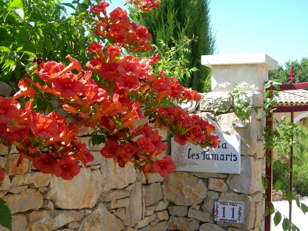B&B Villa Les Tamaris Régusse Екстериор снимка